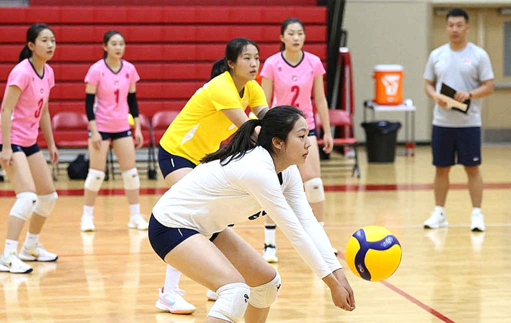 2027 Women's Volleyball World Cup: 18 Tickets Claimed, and a Power Map Drawn by Continental Quotas